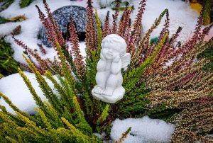 Anges gardiens